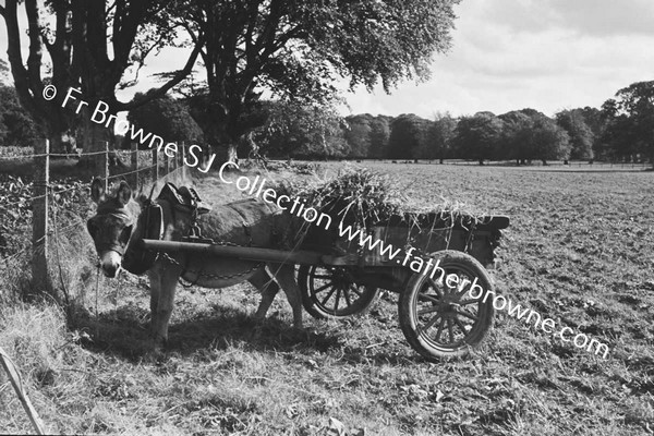 HORSE AND CART AT HEDGEROW